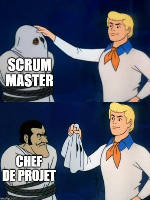 Scrum Master Chef de Projet